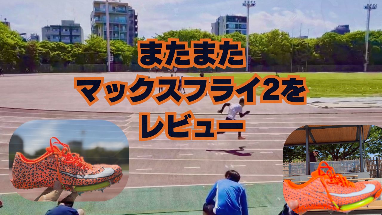 またマックスフライ2を履いてみたのでレビューします | おおけん 
